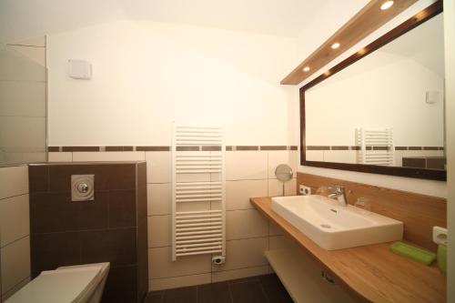 ラムサウ・アム・ダッハシュタインにあるPension Sonnwendhofのバスルーム(洗面台、鏡、トイレ付)