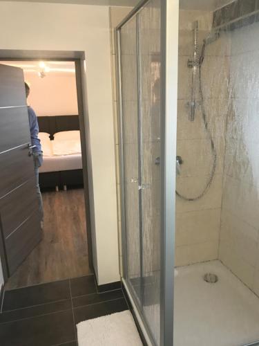 a shower with a glass door in a bathroom at Hotel Friedrich in Hachenburg