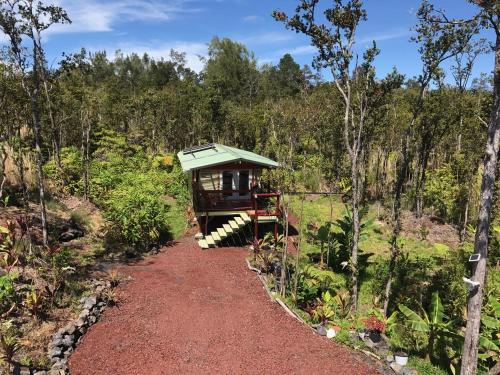 a tree house in the middle of a trail at Volcano Eco Cabin & Eco Lodge in Volcano