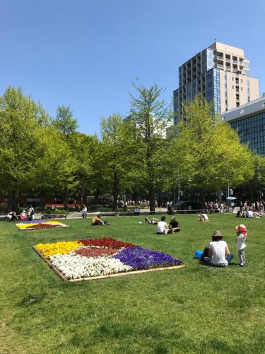 a group of people sitting on the grass in a park at Guest House On My Way in Sapporo