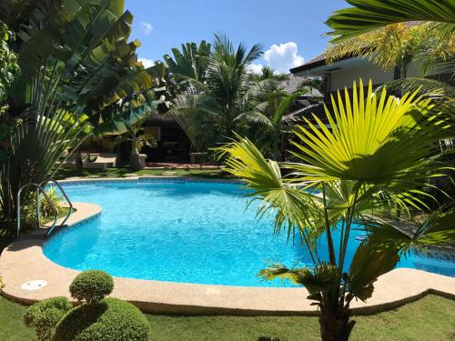 منتجع ألوناز كورال غاردن (للبالغين فقط)