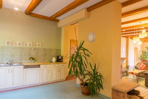 Kuchyňa alebo kuchynka v ubytovaní Apartamenty Miranda