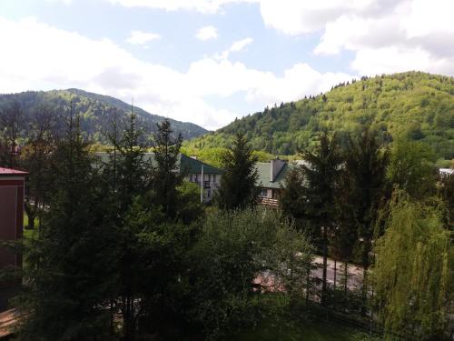 a view of a mountain from a house at Willa Mirabelka in Piwniczna