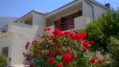 a bunch of red flowers in front of a building at Six bedroom Holiday home Matea in Ploče
