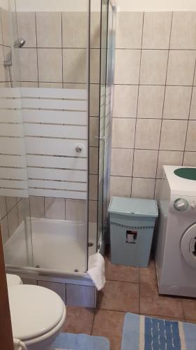 a small bathroom with a shower and a toilet at Apartment Krizanovic in Malinska