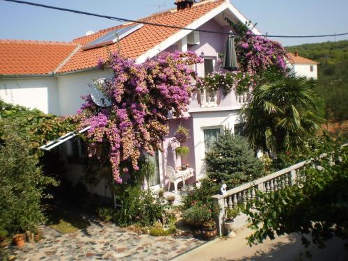 Apartments Nada