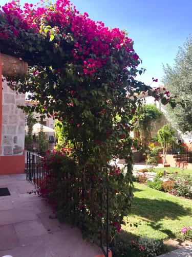 a bush filled with pink flowers in a garden at Hotel Casona Solar in Arequipa