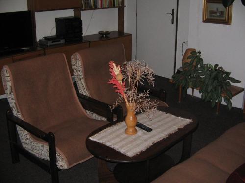 a vase on a table in a living room at Penzion Zavodsky in Český Krumlov