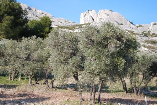 Château de Servanes