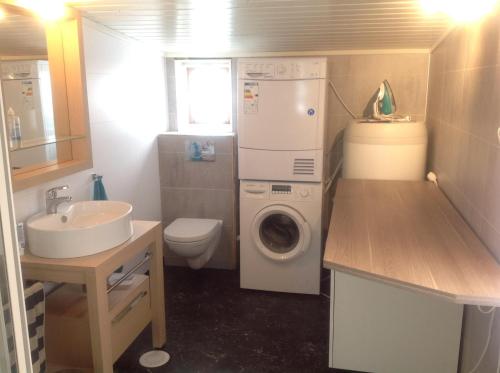 a small bathroom with a washing machine and a sink at Cape East Homestay in Ytre Kiberg
