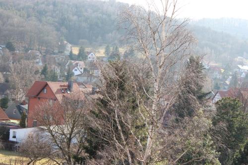 a tree in a town with houses in the background at Villa Jagdhaus in Wernigerode