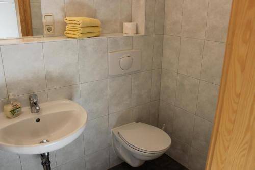 a bathroom with a toilet and a sink at Villa Jagdhaus in Wernigerode