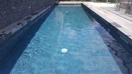 a frisbee in the water in a swimming pool at Como Lake Residenza Armonia in Gera Lario