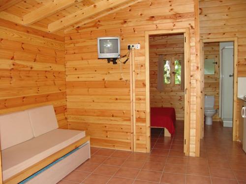 TV in/ali zabaviščno središče v nastanitvi Camping Ribera del Ara