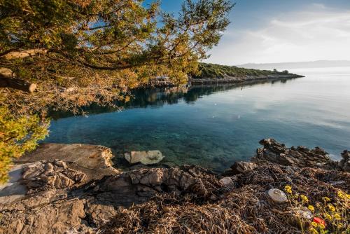 a large body of water with trees and rocks at Apartmani Marko in Gdinj