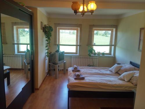Ein Bett oder Betten in einem Zimmer der Unterkunft Nad stawem