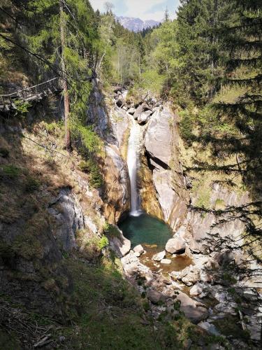 a waterfall in the middle of a forest with a pond at Appartements Onyx in Flattach