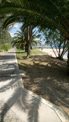 a sidewalk next to a beach with palm trees at Villa George - Family Holidays in Nea Makri