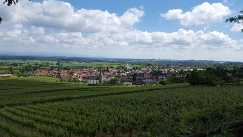 a view of a village from a field of vines at Gästehaus Gerhardt in Schweigen-Rechtenbach