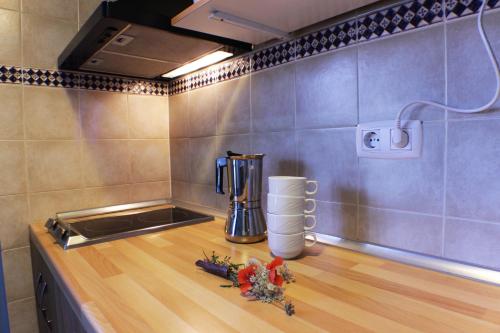 a kitchen counter with a blender on top of it at Apartamentos La Picota in Cofiñal