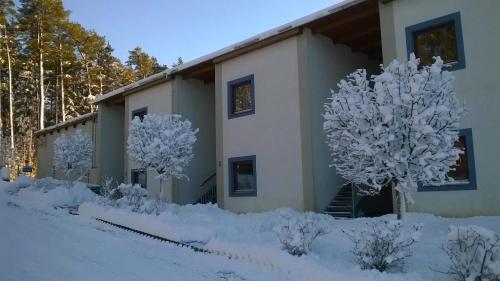 two trees covered in snow in front of a building at Apartment Doky D8 - Lipno Home in Lipno nad Vltavou