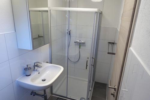 Scheuerfeld的住宿－Ferienwohnung Pecere，带淋浴和盥洗盆的浴室