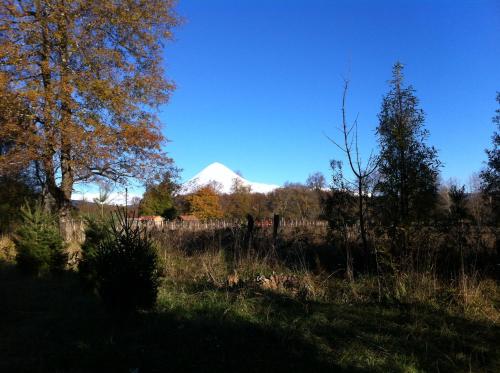 a mountain in the background of a field with trees at Cabañas Captren Andino in Curacautín