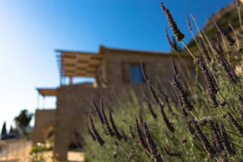 a house with purple flowers in front of it at Tseralia Houses in Stoupa