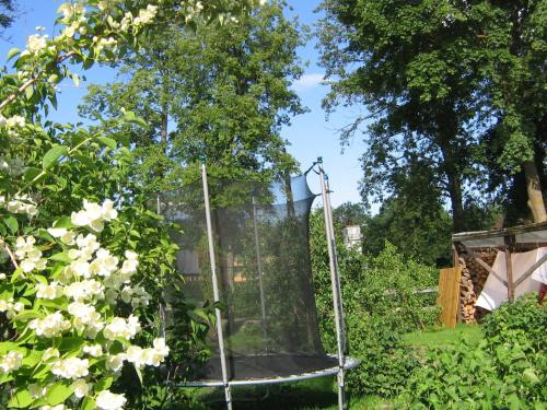 a batting cage in a garden with flowers at Baltā māja in Pilsrundāle