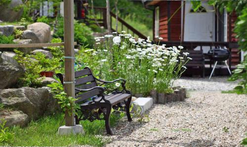 a black bench in a garden with white flowers at Sisilli Pension in Pyeongchang 