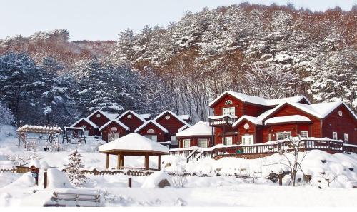 a house covered in snow in front of a mountain at Sisilli Pension in Pyeongchang 