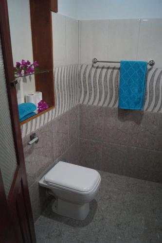 a small bathroom with a toilet and a mirror at Wine Tree Garden Guesthouse in Mirissa