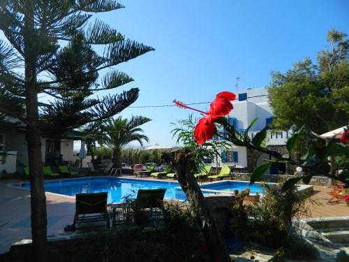 a red ribbon tied to a tree in front of a swimming pool at Ioanna Apartments in Agios Prokopios