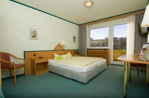 Schlafzimmer mit einem Bett, einem Schreibtisch und einem Fenster in der Unterkunft Aparthotel am Rennsteig in Wurzbach