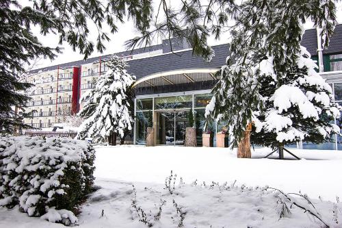 Το Aparthotel am Rennsteig τον χειμώνα