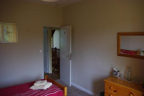 - une chambre avec un lit, un miroir et une commode dans l'établissement La Maison Celtique, à Saint-Nicolas-du-Pélem