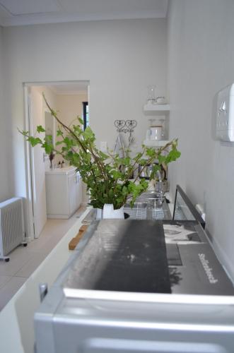 Gallery image of Two Vines Romantic Guest Studio in Stellenbosch