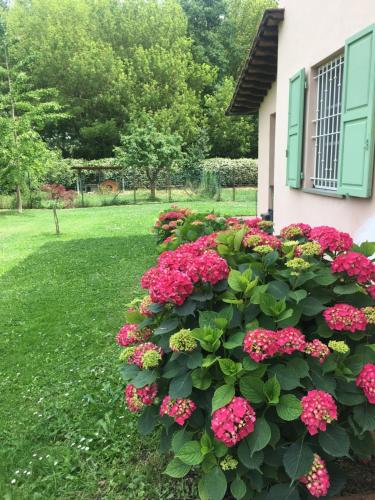 Zahrada ubytování Villa Favilli