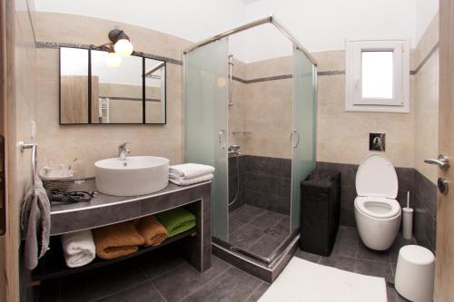 a bathroom with a toilet and a sink and a shower at Country Style Villa Christina in Pouláta