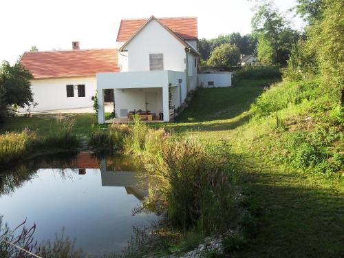 a white house with a pond in front of it at Alte Mühle Kaisersdorf in Kaisersdorf