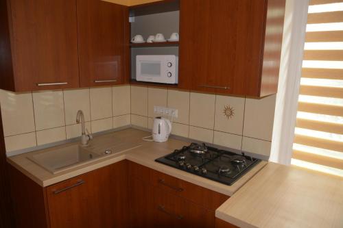 Cuina o zona de cuina de Apartamentai Avada