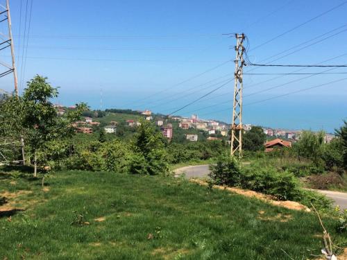 a grassy hill with a utility pole on the side of a road at Menekşe Apart 2 in Trabzon
