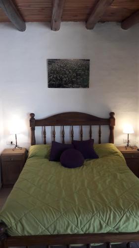 een slaapkamer met een groen bed met 2 lampen bij Samadi Hostel Uspallata in Uspallata