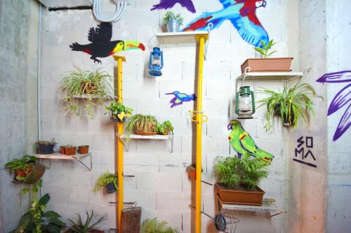 a wall with plants and birds on it at Brick Palma - Turismo de Interior in Palma de Mallorca
