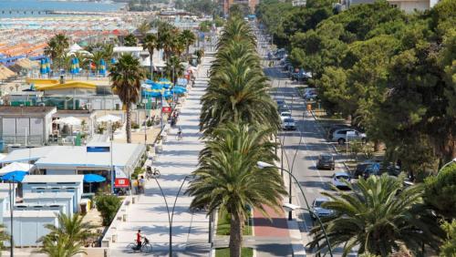a city street with palm trees and a beach at Hotel Gianna in Roseto degli Abruzzi