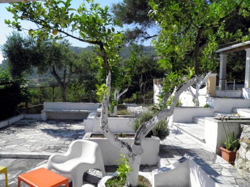 a garden with a tree and white chairs and trees at Akis Apartments Kontogialos-Pelekas in Pelekas