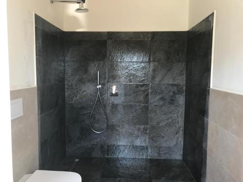 a bathroom with a shower with a toilet at Corte di Pellio in Pellio Superiore