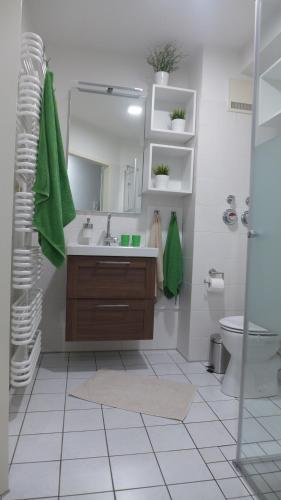 ein Badezimmer mit einem Waschbecken, einem Spiegel und einem WC in der Unterkunft Appartement Schultz - Grüne Aue in Braunlage