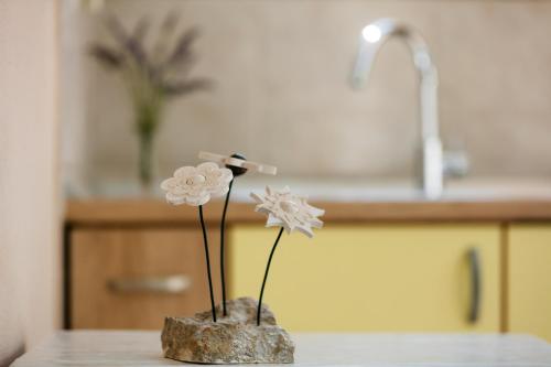 Gallery image of Villa Kamenica in Komiža