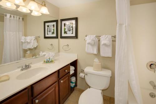 a bathroom with a toilet and a sink and a shower at Bluegreen Vacations Patrick Henry Sqr, Ascend Resort Collection in Williamsburg